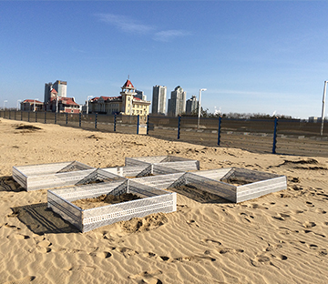 Proyecto de parque de fijación de arenas y barrera de arena de Golden Beach de Shandong